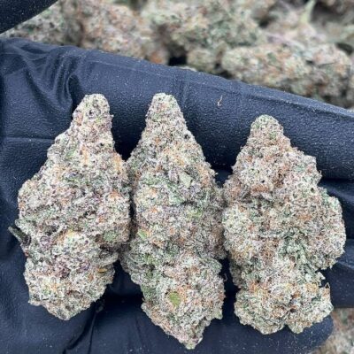 Alien Cookies