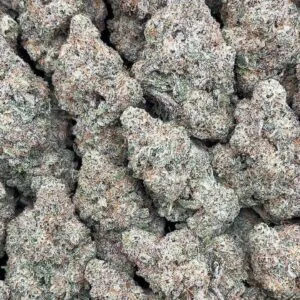 Alien Cookies
