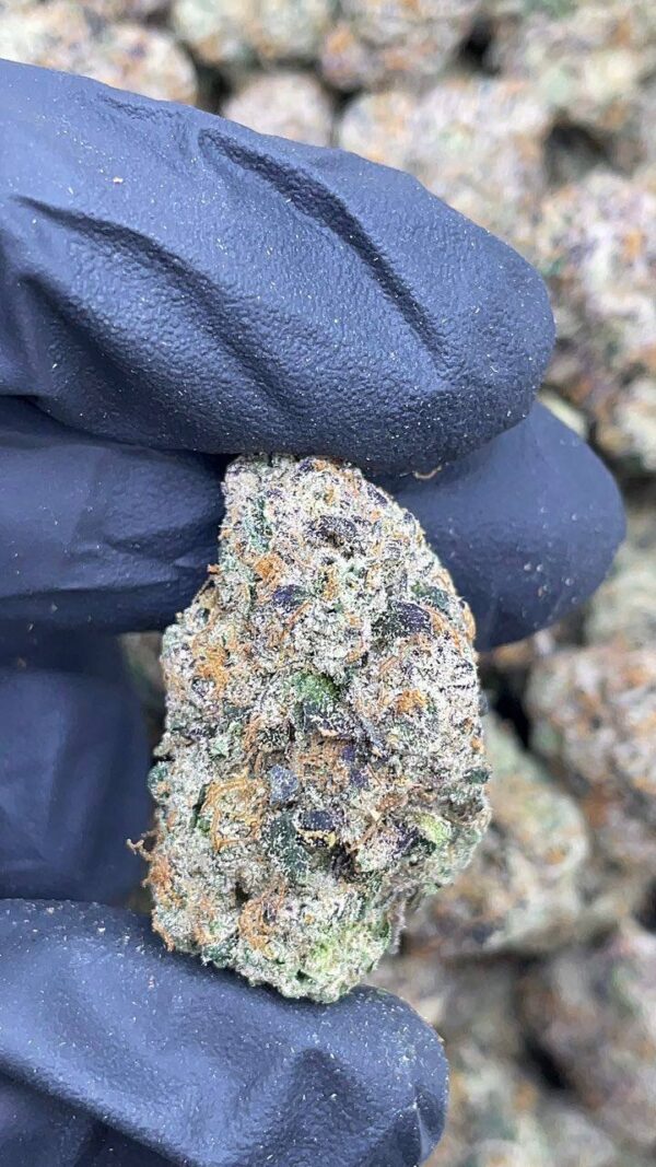 Berry Pops