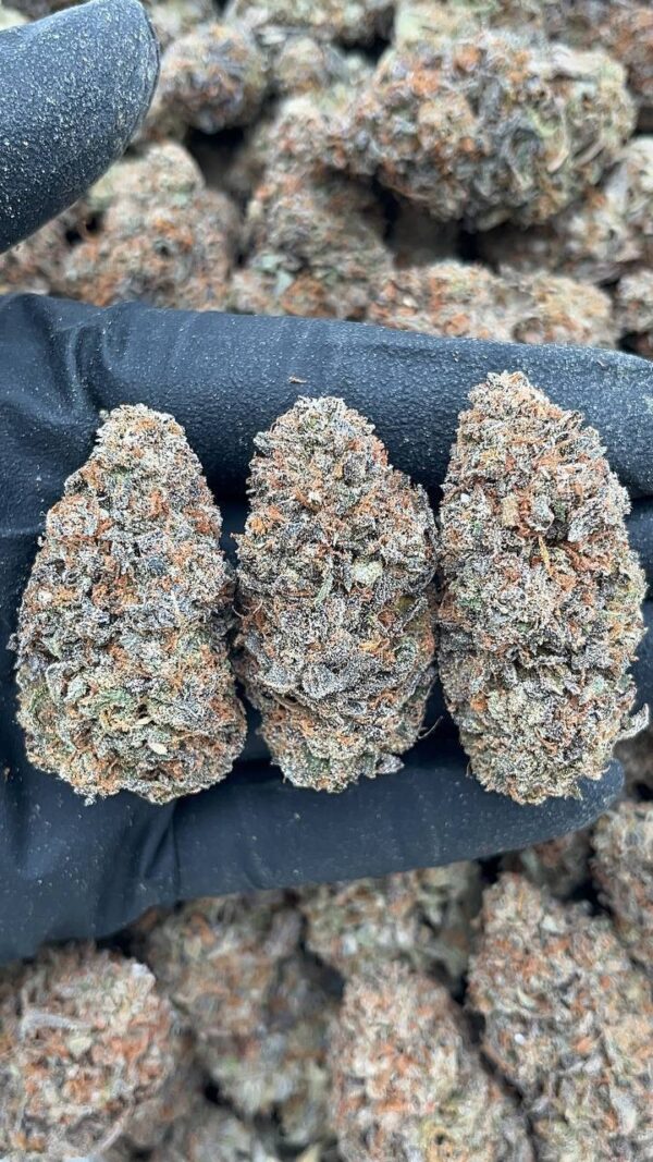 Berry Runtz1 Berry Runtz