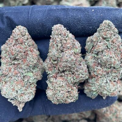 Black Gelato1 Black Gelato