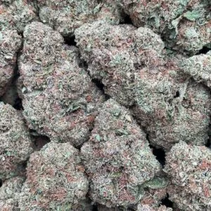 Black Gelato2 Black Gelato