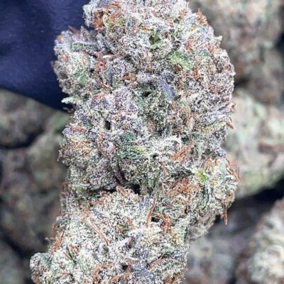 BlackBerry Gelato