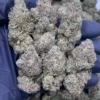 BlackBerry Gelato
