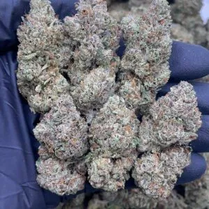 BlackBerry Gelato