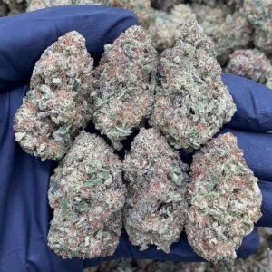 Blue Yakuza2 Blue Yakuza