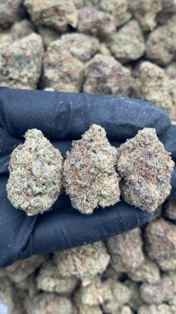 Blue diesel1 Blue diesel