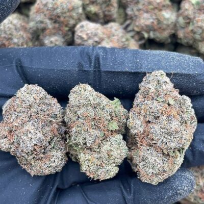Bodega Bubblegum1 Bodega Bubblegum