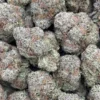 Bodega Bubblegum2 Bodega Bubblegum