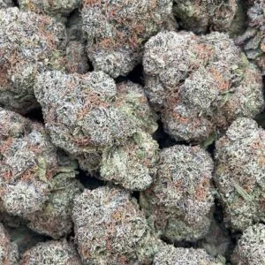 Bodega Bubblegum2 Bodega Bubblegum