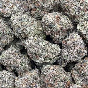 Candy Glue2 Candy Glue