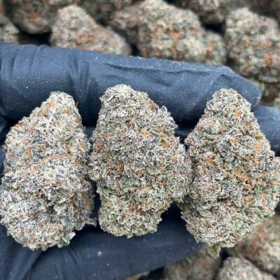 Cherry Gorilla1 Cherry Gorilla