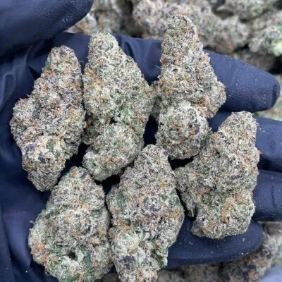 Cherry Popperz1 Cherry Popperz