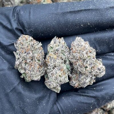 Cotton Candy Gelato