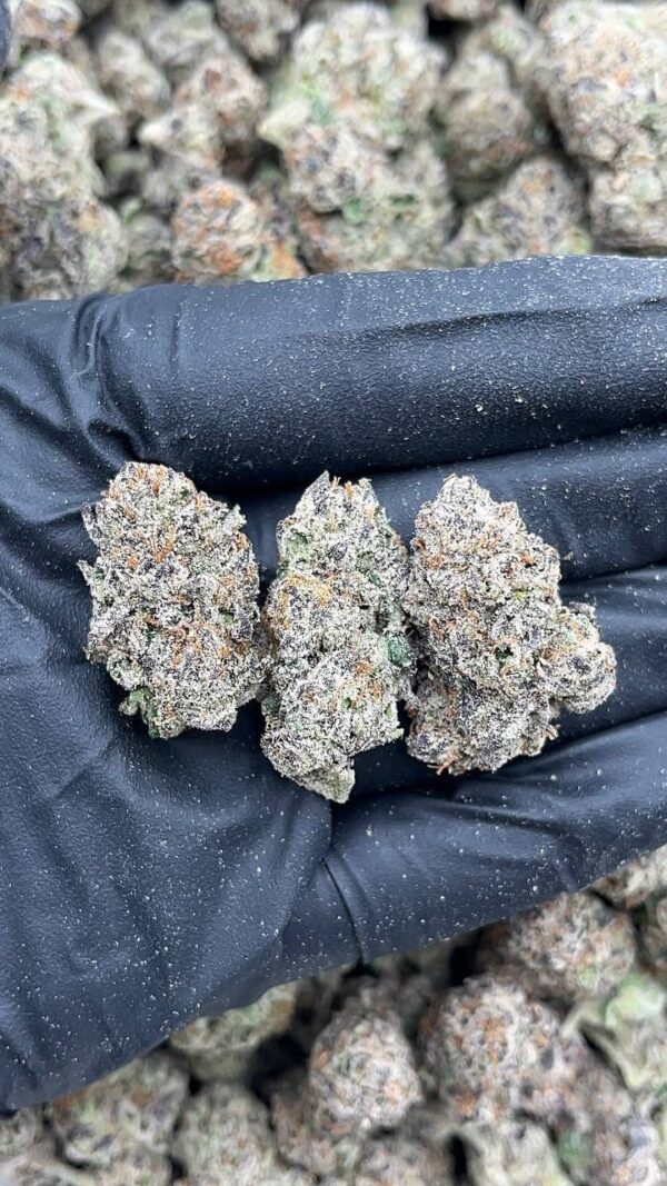 Cotton Candy Gelato1 Cotton Candy Gelato