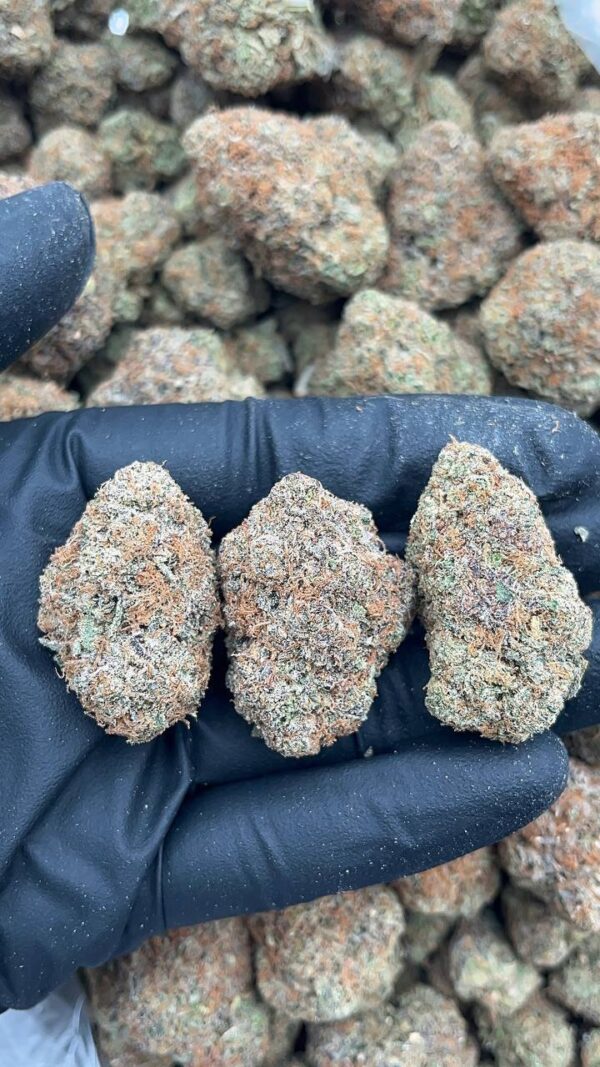 Durban poison1 Durban poison