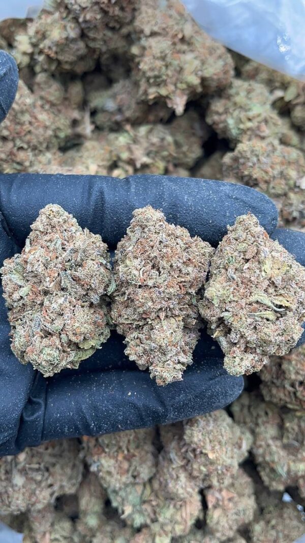 Fire OG1 Fire OG