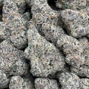 Gelato 33