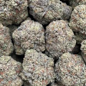 Gelato King