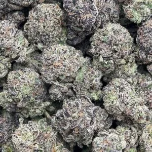 Gorilla glue