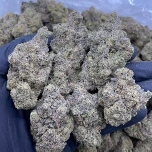 Grand Daddy Perc