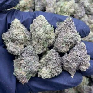 Granddaddy Perc Meds