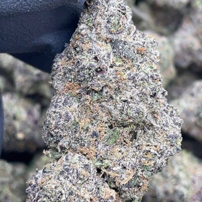 Grape Zoda