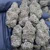 Grape Zoda