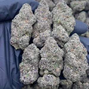 Grape Zoda