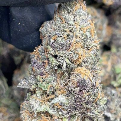 King Sherbert