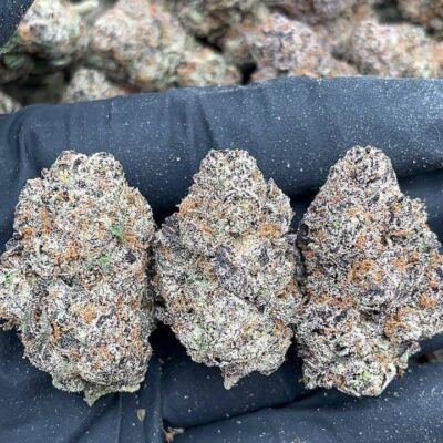 LA Confidential