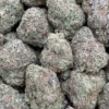Lava Dawg
