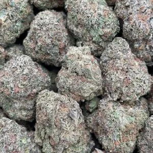 Lava Dawg