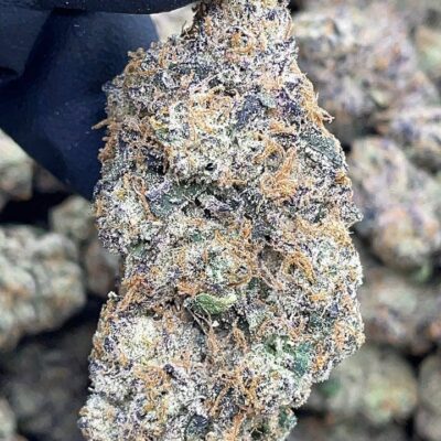 Lemon Cherry Guava
