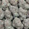 Lemon Cherry Gushers