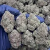 Lemon Cherry Nerds