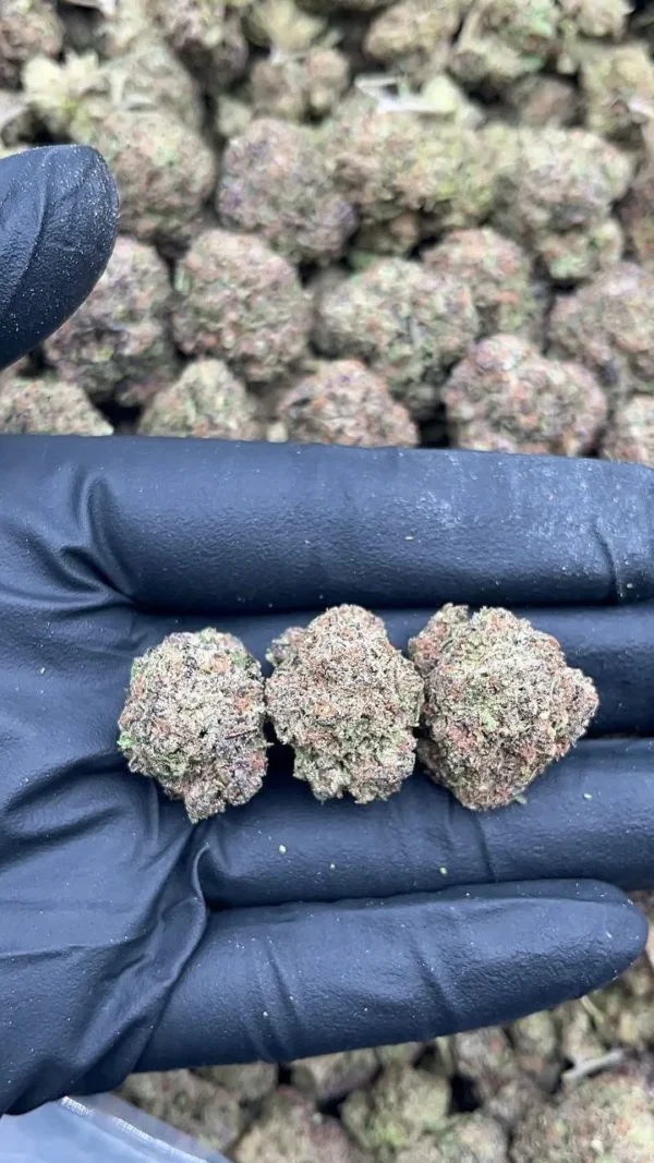 Lemon Cherry Splash