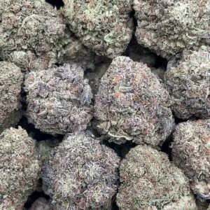 Martian Muffins