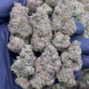 Pink Gelato2 Pink Gelato