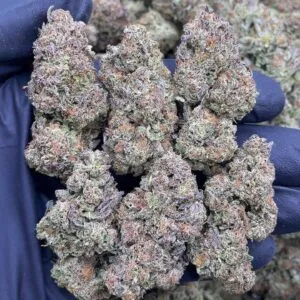 Pink Gelato2 Pink Gelato