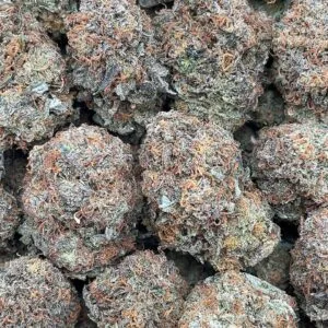 Platinum Bubba2 Platinum Bubba