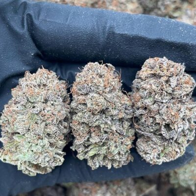 Platinum Candy1 Platinum Candy