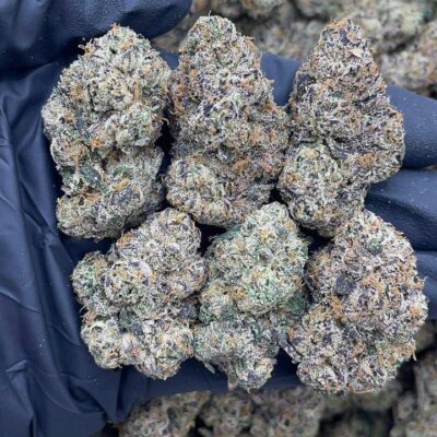 Plum Popperz1 Plum Popperz