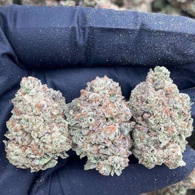 Pluto Kush1 Pluto Kush