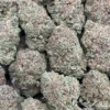 Pluto Kush