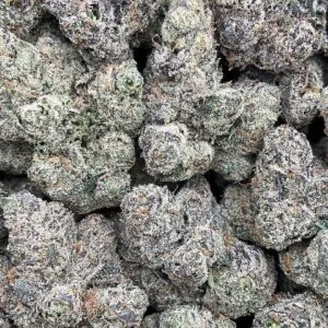 Purple Aurora2 Purple Aurora