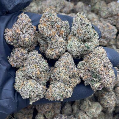 Purple Candy Runtz