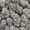 Purple Champagne2 Purple Champagne