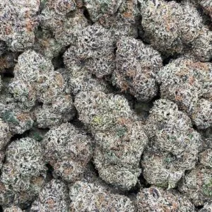 Purple Champagne2 Purple Champagne