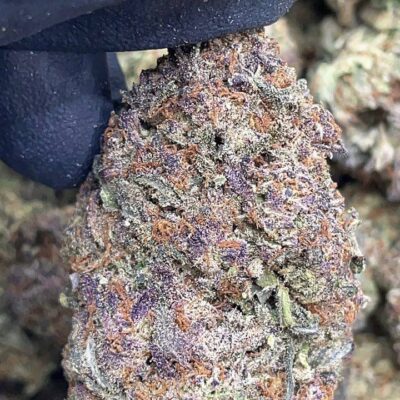 Purple Diesel
